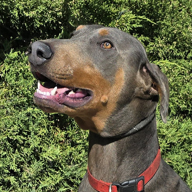 Handsome Mr Hendrix = WOW !!!