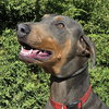 Handsome Mr Hendrix = WOW !!! - Photo 1