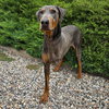 Handsome Mr Hendrix = WOW !!! - Photo 4