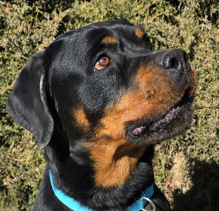 Benevolent Mr Brooks = OMD WOW !!!