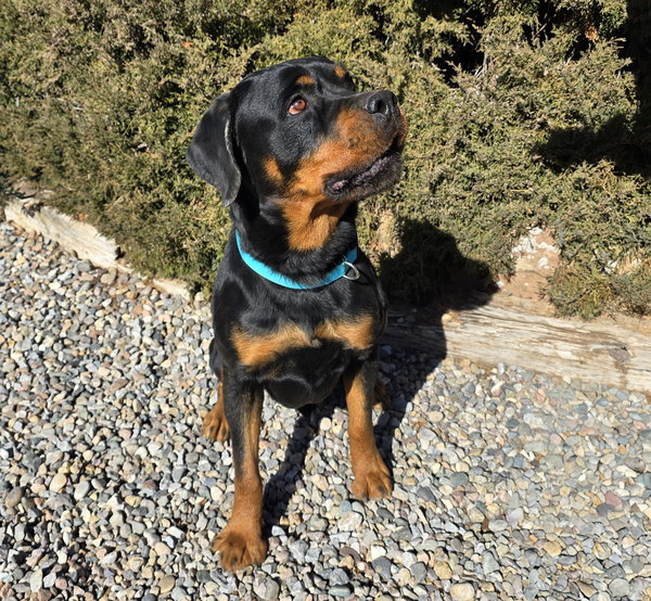 Benevolent Mr Brooks = OMD WOW !!!