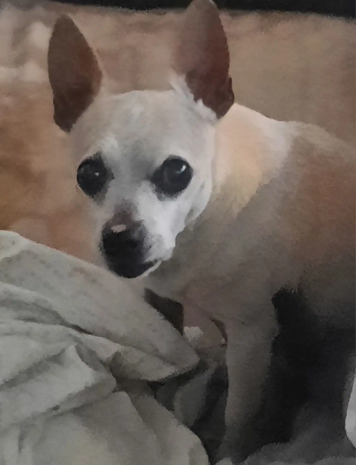 Walter image 2
