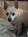 WALTER - Photo 2