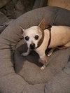WALTER - Photo 3