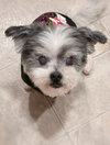 *Boq Wicked - Photo 2
