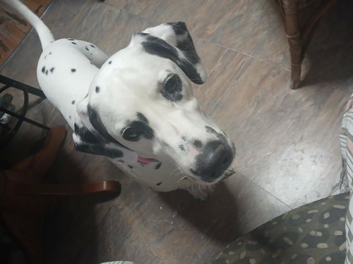 Photo of Samantha