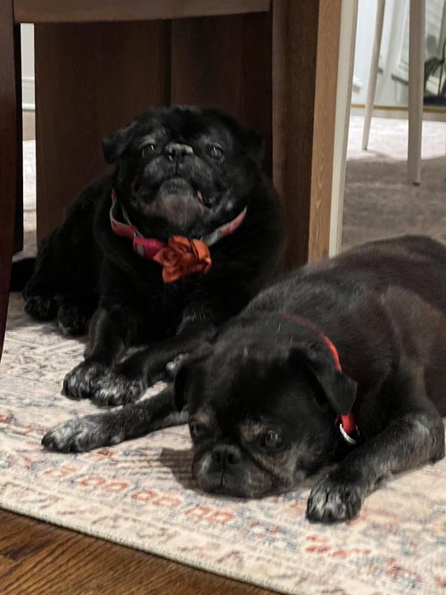 Chloe And Wilma photo 3