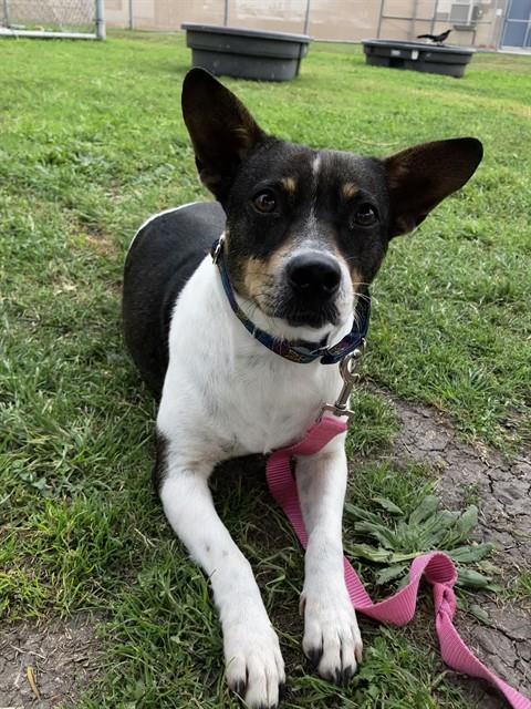 LUCY
