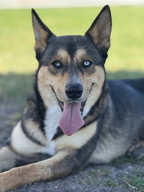 WINNIE