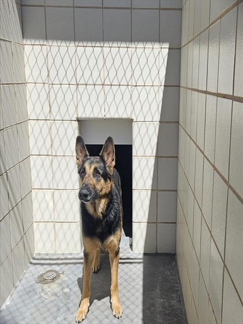 MILO