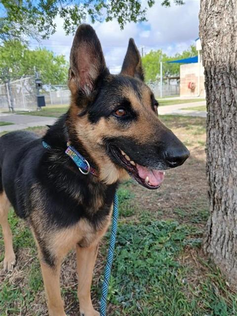 MILO