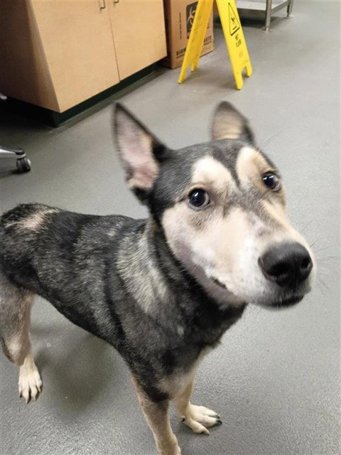 Max
