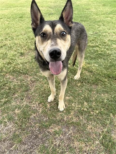 Max