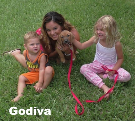 Jewelyn's pup - Godiva - F3