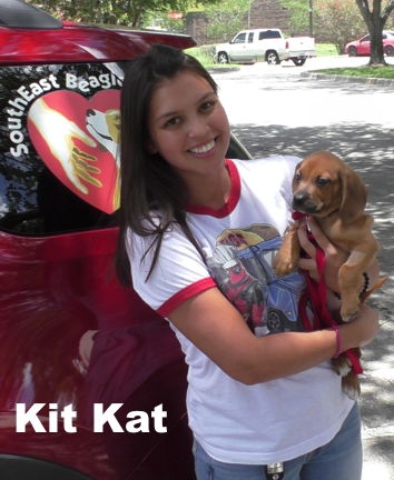 Jewelyn's pup - Kit Kat - M4