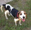 Cooper III