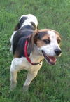 Cooper III