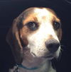 Cooper III