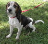 Cooper III