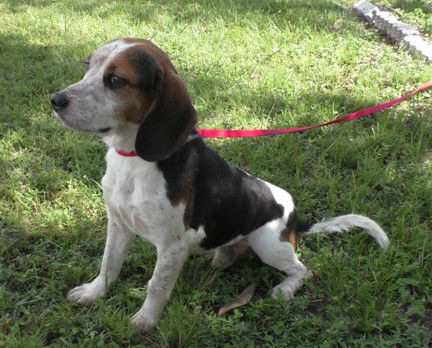 Cooper III