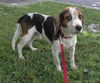 Cooper III
