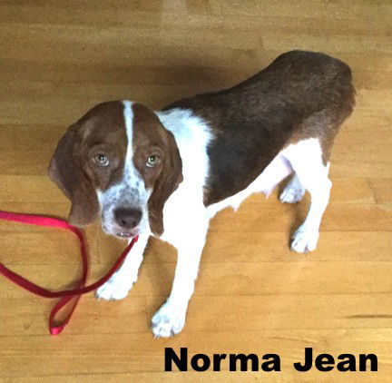 Norma Jean