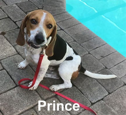 Prince