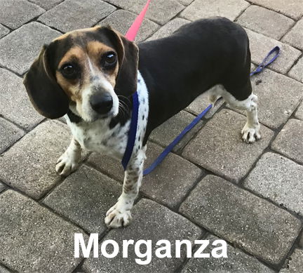 Morganza