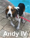 Andy IV
