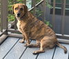 Bobinky - COURTESY LISTING