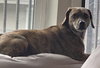 Bobinky - COURTESY LISTING