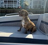 Bobinky - COURTESY LISTING