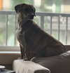 Bobinky - COURTESY LISTING
