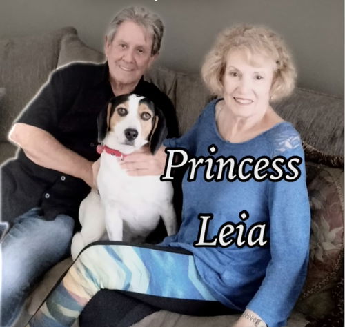 Princess Leia
