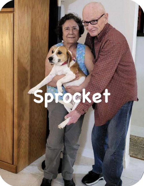 Sprocket II