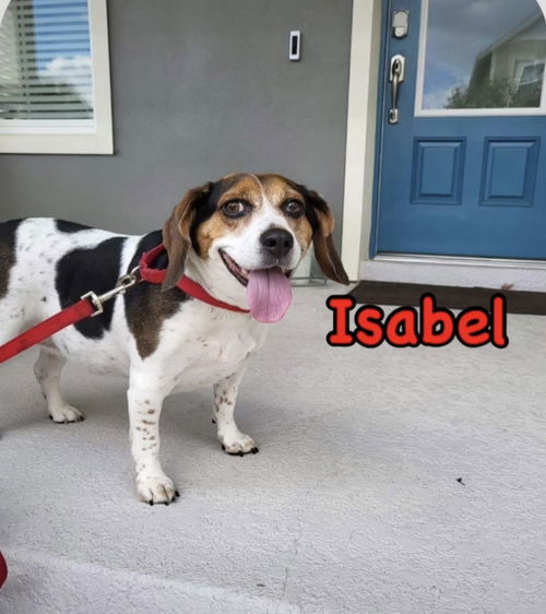 Isabel