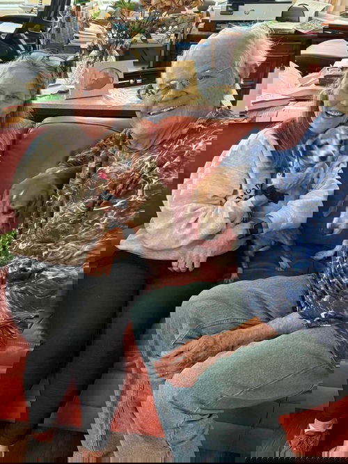 Triskit