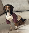 Bruce III