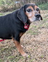 Edith II