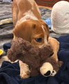 Capone