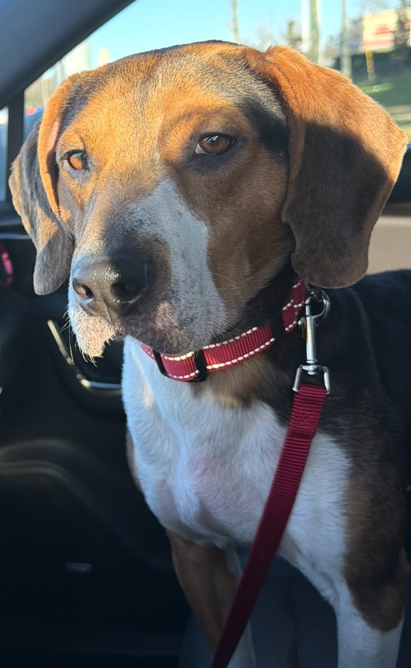 Copper IX