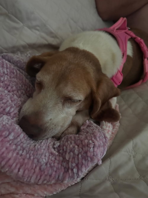 Macie photo 5