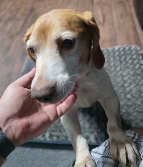 Macie photo 7