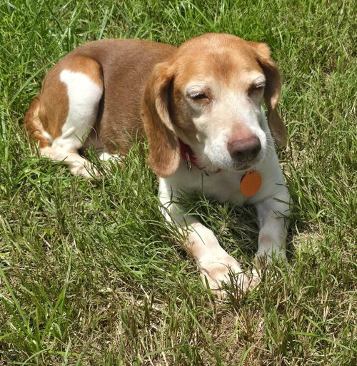 Macie photo 8