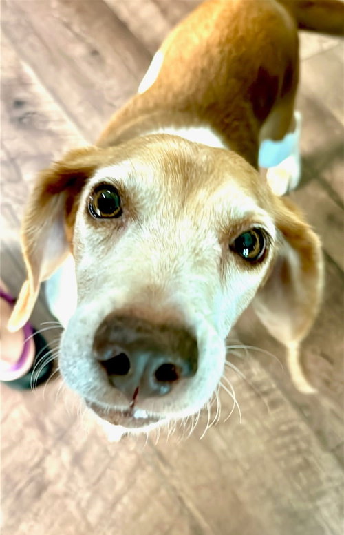 Macie photo 9