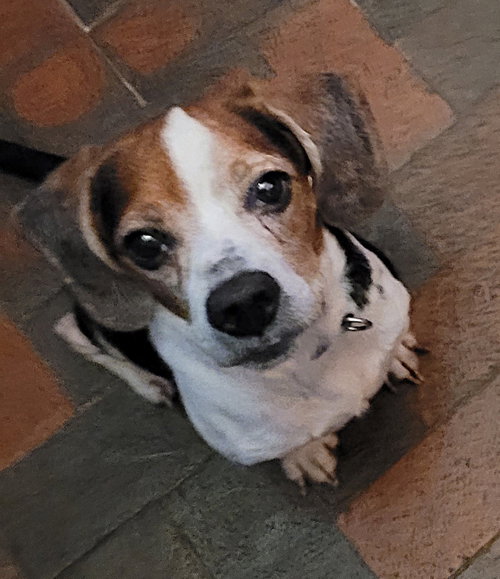 Walter Ii photo 4