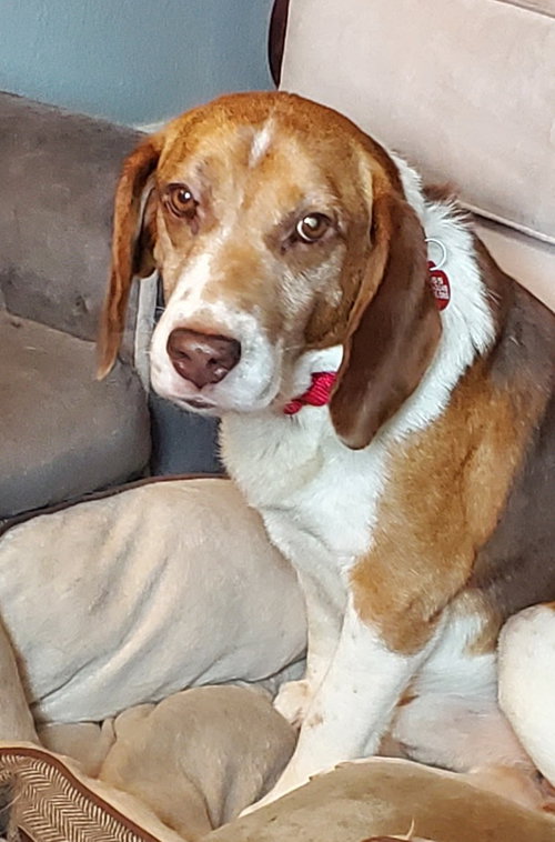 Bugsey photo 2