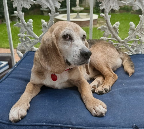 Barnett photo 5