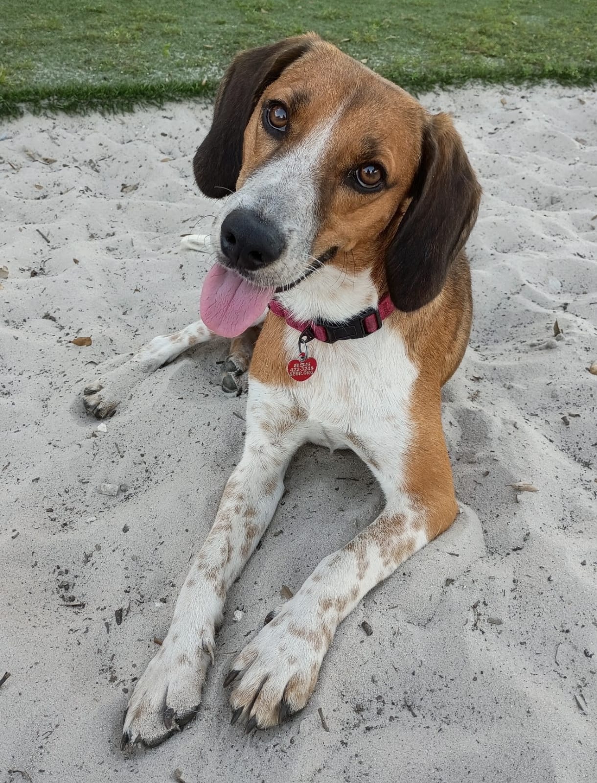 Finn IV, photo 12