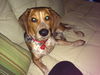 Copper